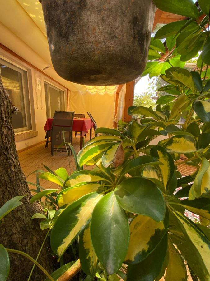 Ancora bilocale Villa Marina di Massa Exterior foto